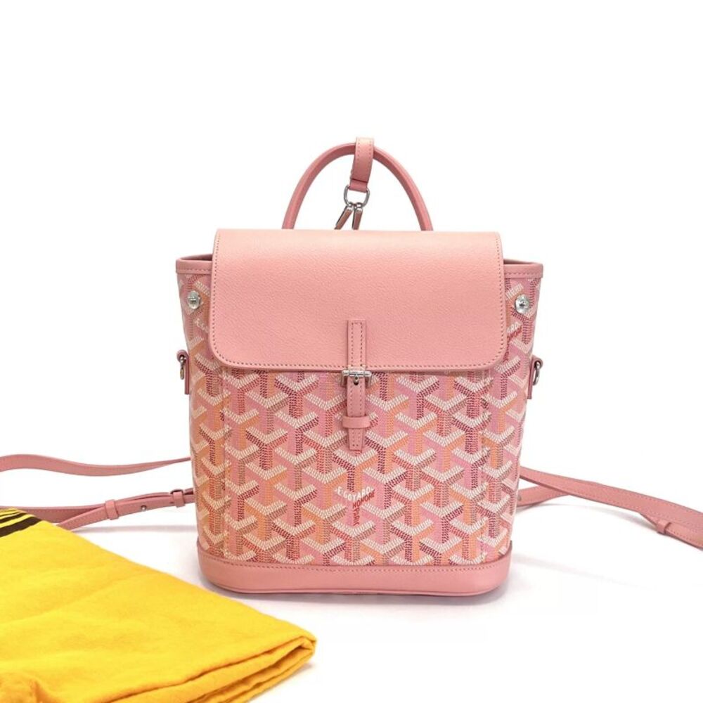Goyard Women Pre-Loved Bag Very Good Condition